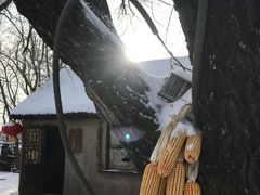 -雾凇岛