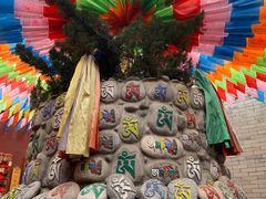 -西安市广仁寺