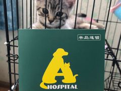 -半岛宠物医院24小时(科华中路店)