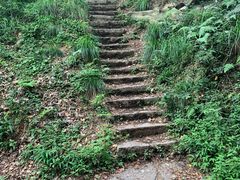-青龙山国家森林公园