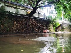 -偏岩古镇