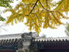 -潭柘寺景区