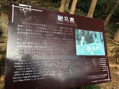 -福清灵石山国家森林公园