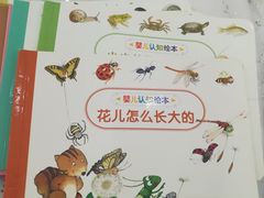 -美吉姆早教(恒隆中心)