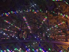 -哈尔滨文化公园