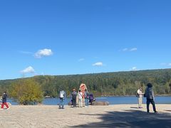 -五营红松林海景区