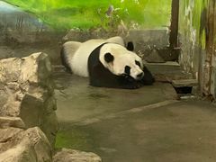 -柳州市动物园