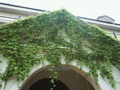 -Big House当代艺术中心