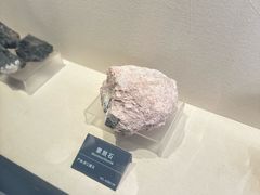-安徽省地质博物馆