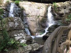 -江西阳明山国家森林公园