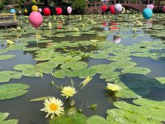 -广州莲花山旅游区
