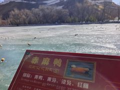 -宗角禄康公园