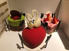 -BLACKSWAN黑天鹅(环球店)