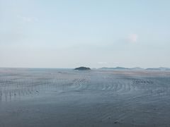 -北岐滩涂
