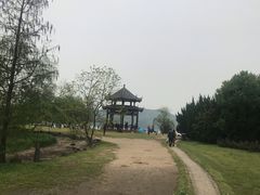 -东湖落雁景区