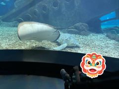 -福州罗源湾海洋世界旅游区