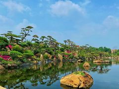 -罗红摄影艺术馆