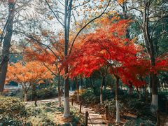 -虞山风景区