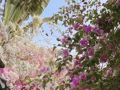 -深圳国际园林花卉博览园