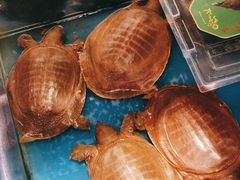 -麦德龙(芝罘店)