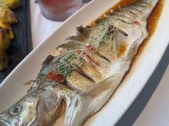 -野蔓果·山野菜(西湖景区·龙井茶田店)