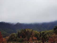 -塔川景区