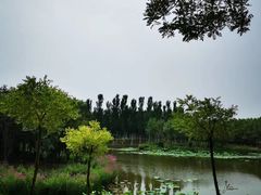 -东郊湿地公园