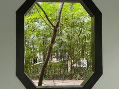 -马旺子酒楼