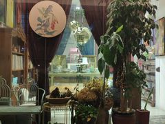 -溪岸路花鸟市场