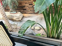 -单家老院·院子里的青岛菜(沙子口店)