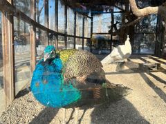 -南宫五洲植物乐园