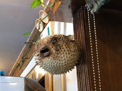 -高丽屋(天宁寺店)