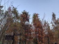 -重庆彩云湖湿地公园