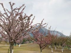 -桂溪生态公园