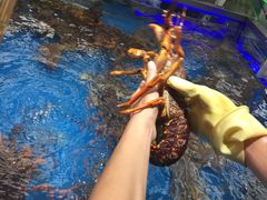 -盒马鲜生(大成店)