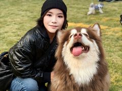 -上海神旺大酒店