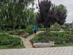 -郑州植物园