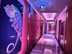 -纯K(打浦桥店)