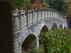 -重庆彩云湖湿地公园