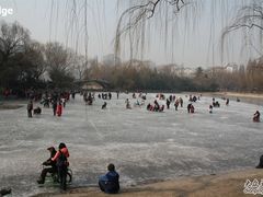 -紫竹院公园冰场