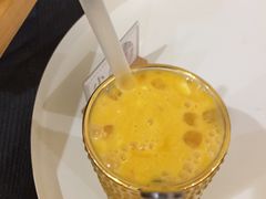 -滚猫咖啡·猫咖·猫友好撸猫(未来城店)