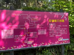 -广州长隆飞鸟乐园