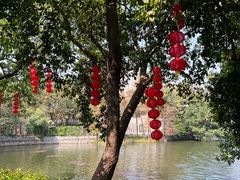 -荔湾湖公园