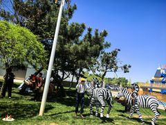 -南戴河国际娱乐中心