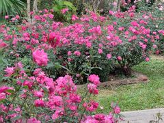 -人民公园(罗湖区)