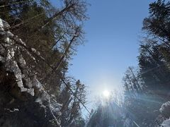 -峡谷浮石林景区