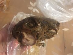 -红星兔丁(东风大桥店)