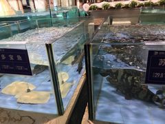 水产区-旺顺阁海鲜广场(亚运村店)