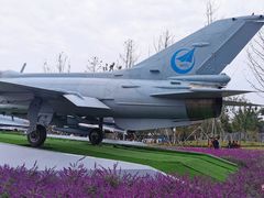 -成飞公园