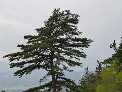 -北岳恒山